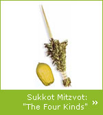 Sukkot Mitzvot: The Four Kinds